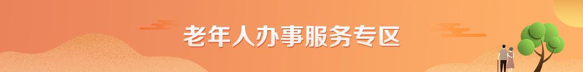 老年人办事服务专区