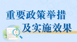 重要政策举措及实施效果