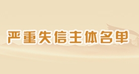 严重失信主体名单